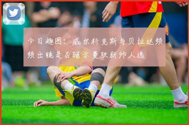 今日趣图：威尔科克斯与贝拉达频频出镜是否暗示曼联新帅人选