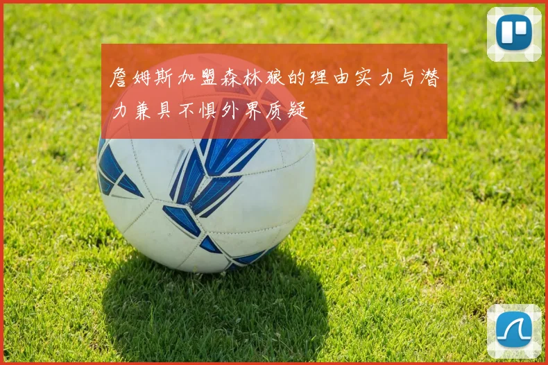 詹姆斯加盟森林狼的理由实力与潜力兼具不惧外界质疑