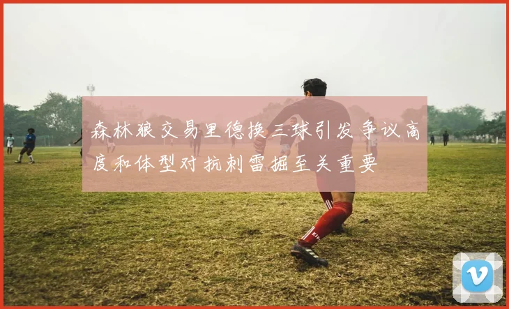 森林狼交易里德换三球引发争议高度和体型对抗刺雷掘至关重要
